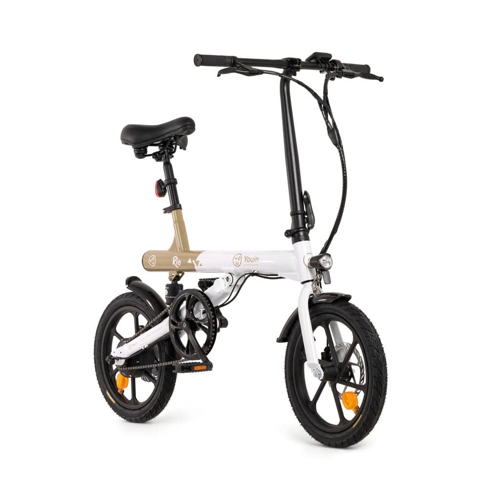 Rio electric bike on sale