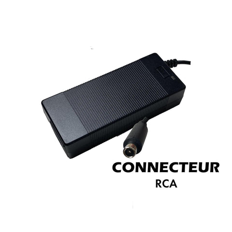 2A RCA Connector Charger