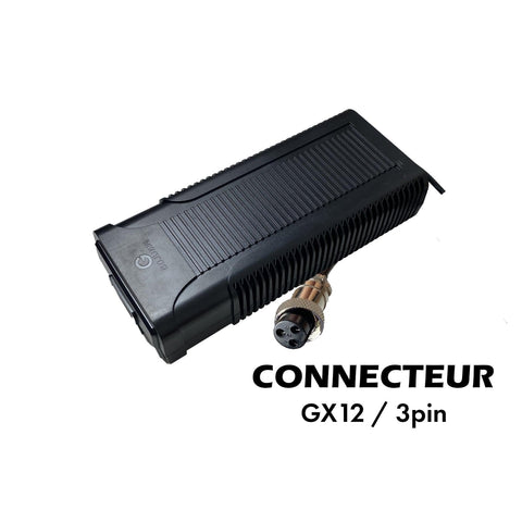 Charger 54.6V / 3A (GX12-3p connector) - Lifty Electrics